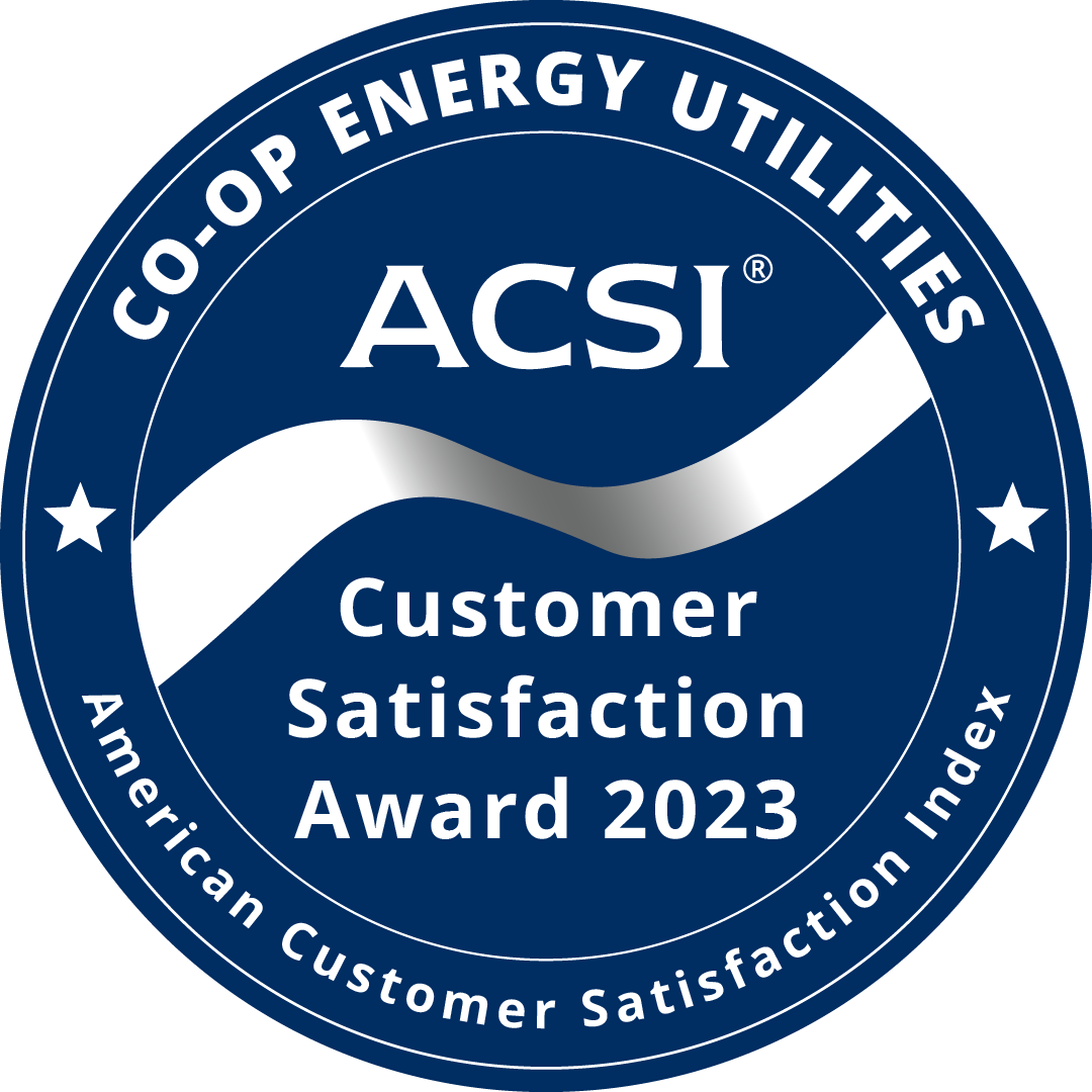 ACSI Customer Satisfaction Award 2023